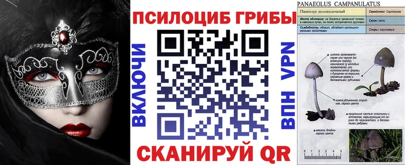 Купить закладки  Бутурлиновка  Галлюциногенные грибы MAGIC MUSHROOMS 